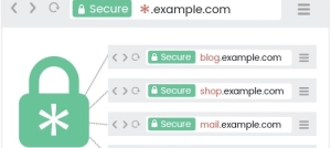 روش فعال کردن SSL برای ساب دامنه ها در هاست دایرکت ادمین