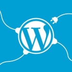 افزونه یا پلاگین چیست و چگونه کار میکند