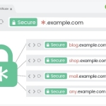روش فعال کردن SSL برای ساب دامنه ها در هاست دایرکت ادمین 