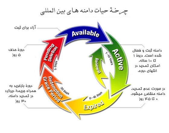 چرخه حیات دامنه های بین المللی