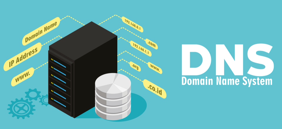 تغییر DNS در پلسک