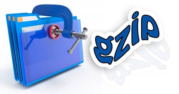 فعال کردن gzip در سی پنل