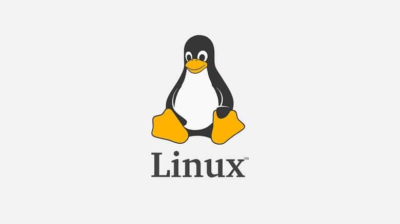 لینوکس( Linux ) چیست و چه کاربردی دارد؟