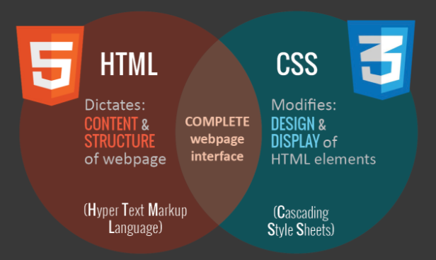 HTML و CSS چیست؟