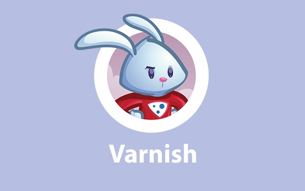 کش Varnish (وارنیش) چیست؟