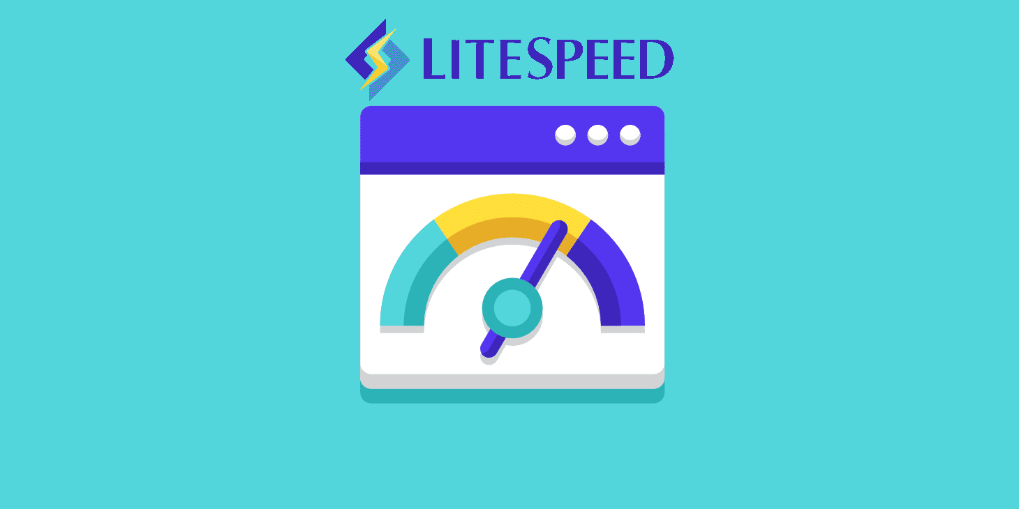 پلاگین کش LiteSpeed Cache در سیستم های مدیریت محتوا