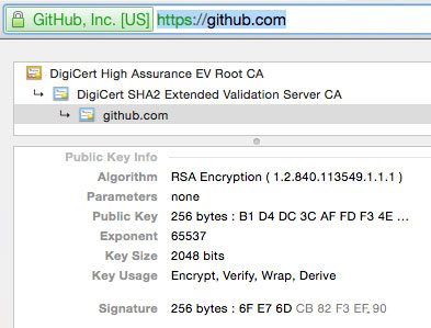 سایز کلید RSA گواهینامه امنیتی SSL